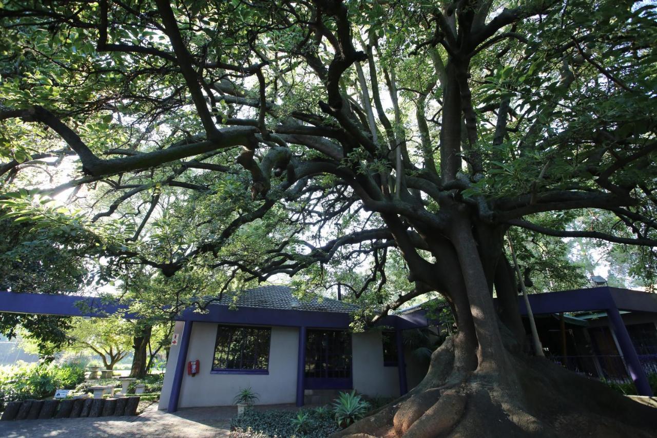 Big Tree Midrand Hotell Exteriör bild